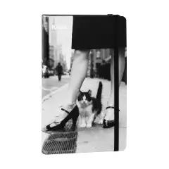 Agenda Kaos 16 Mesi Giornaliera 13x21 Gatto